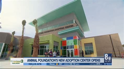 animal foundation on mojave